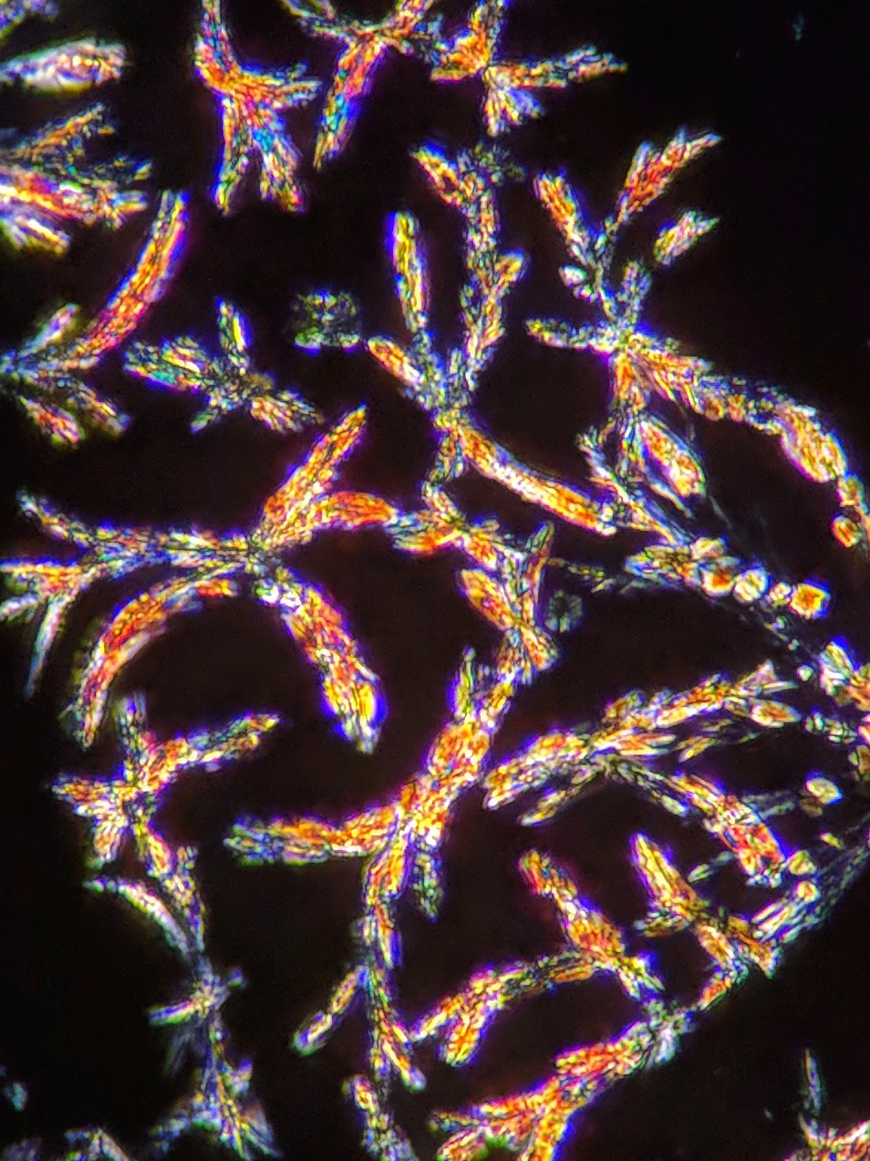 How Psychedelics Could Help Treat Depression with Neuroscience Ph.D ...