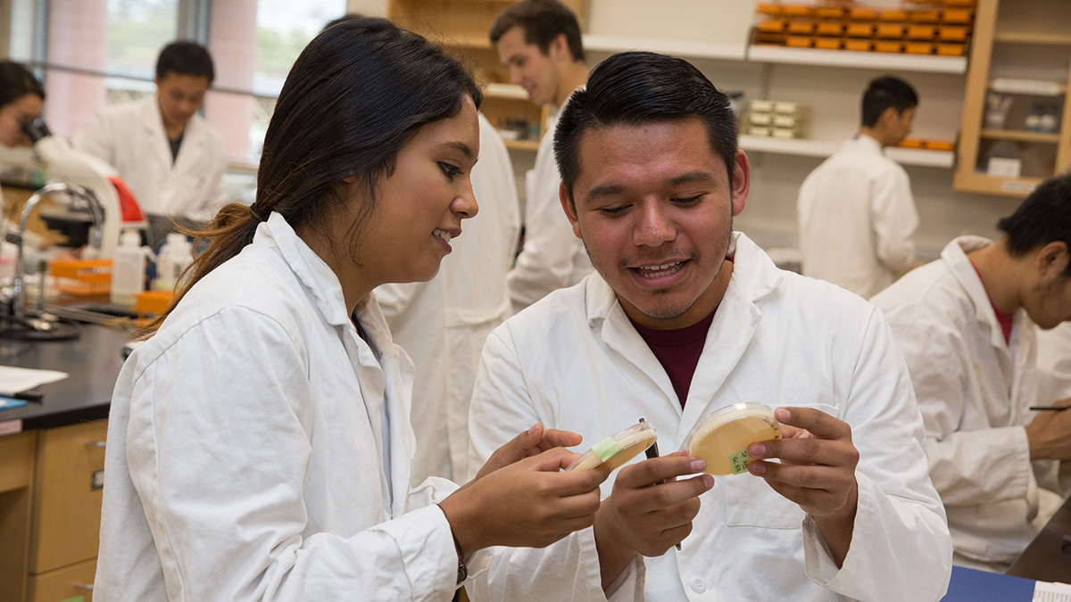 Two students examining a sample in white lab coats
