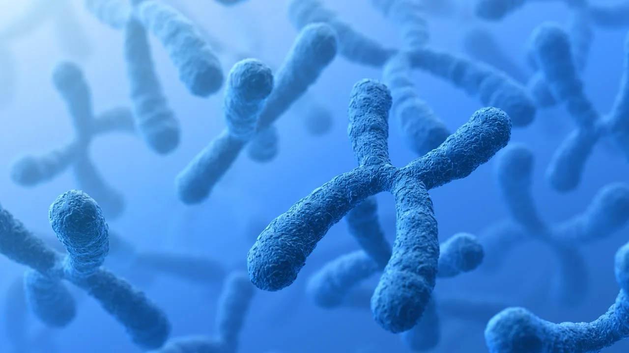Rendering of chromosomes in blue