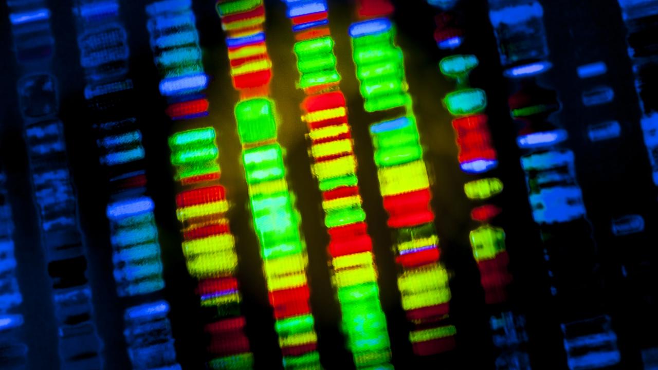 Genomic sequences visualization graph. Medicine DNA test analyse, genom map architecture. Genetic chromosome barcoding. Deoxyribonucleic acid. Big data background template, technology illustration