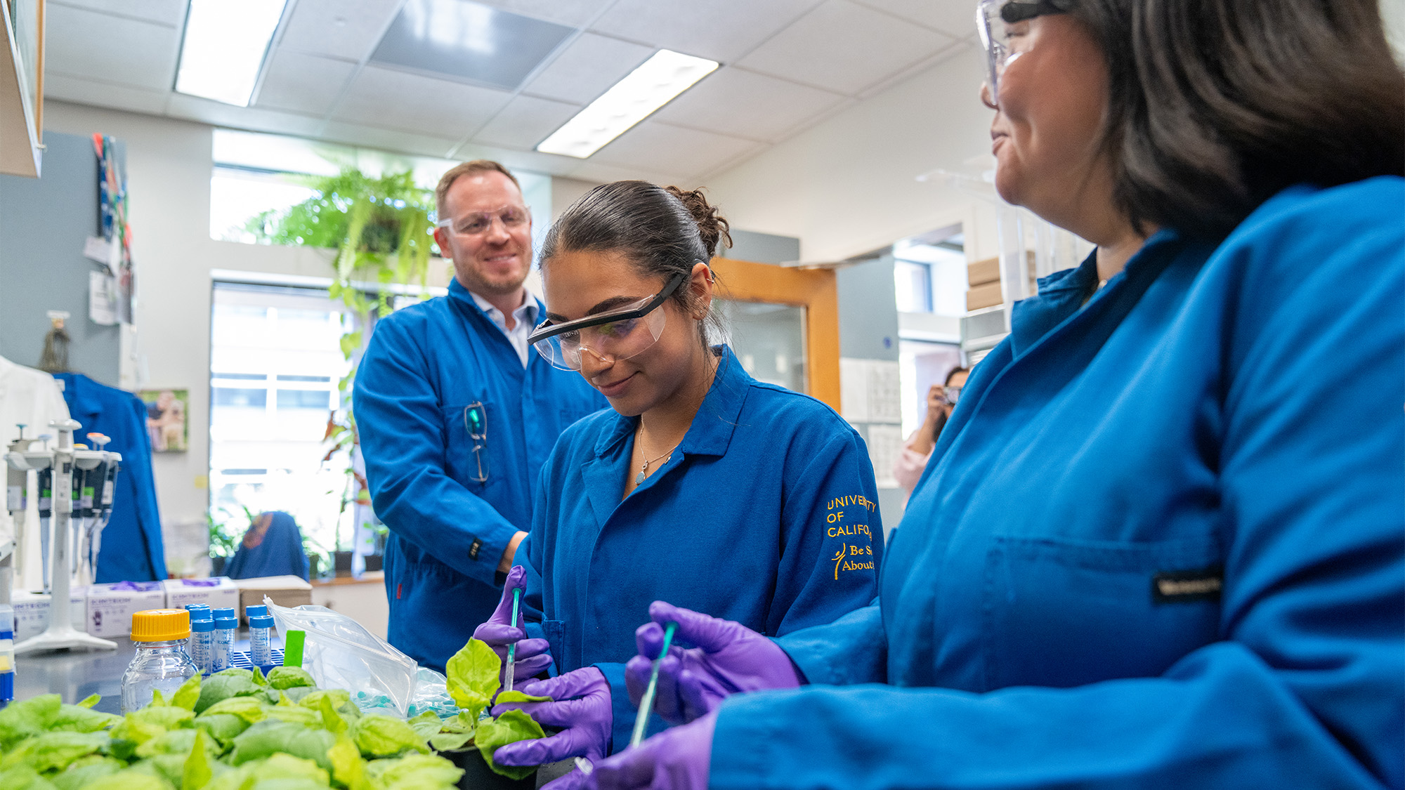 Three scientists in blue lab coats examining green seedlings in a bright laboratory
