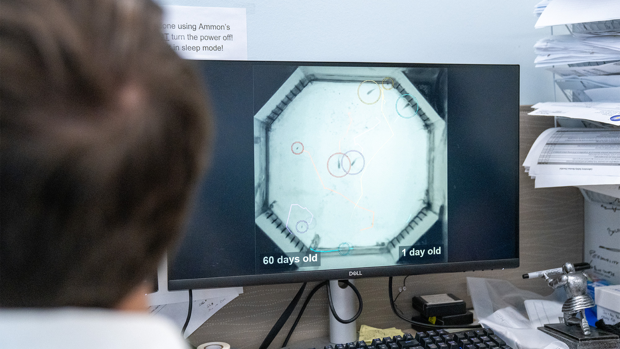 Person at desk viewing monitor showing magnified photo of two circular samples