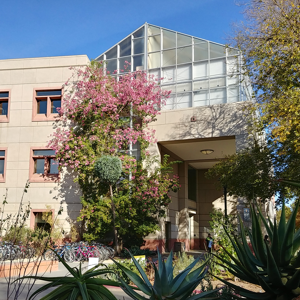 Esau Building exterior