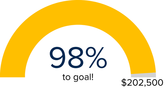 Yellow semicircular progress gauge showing 98% to goal of $202,500
