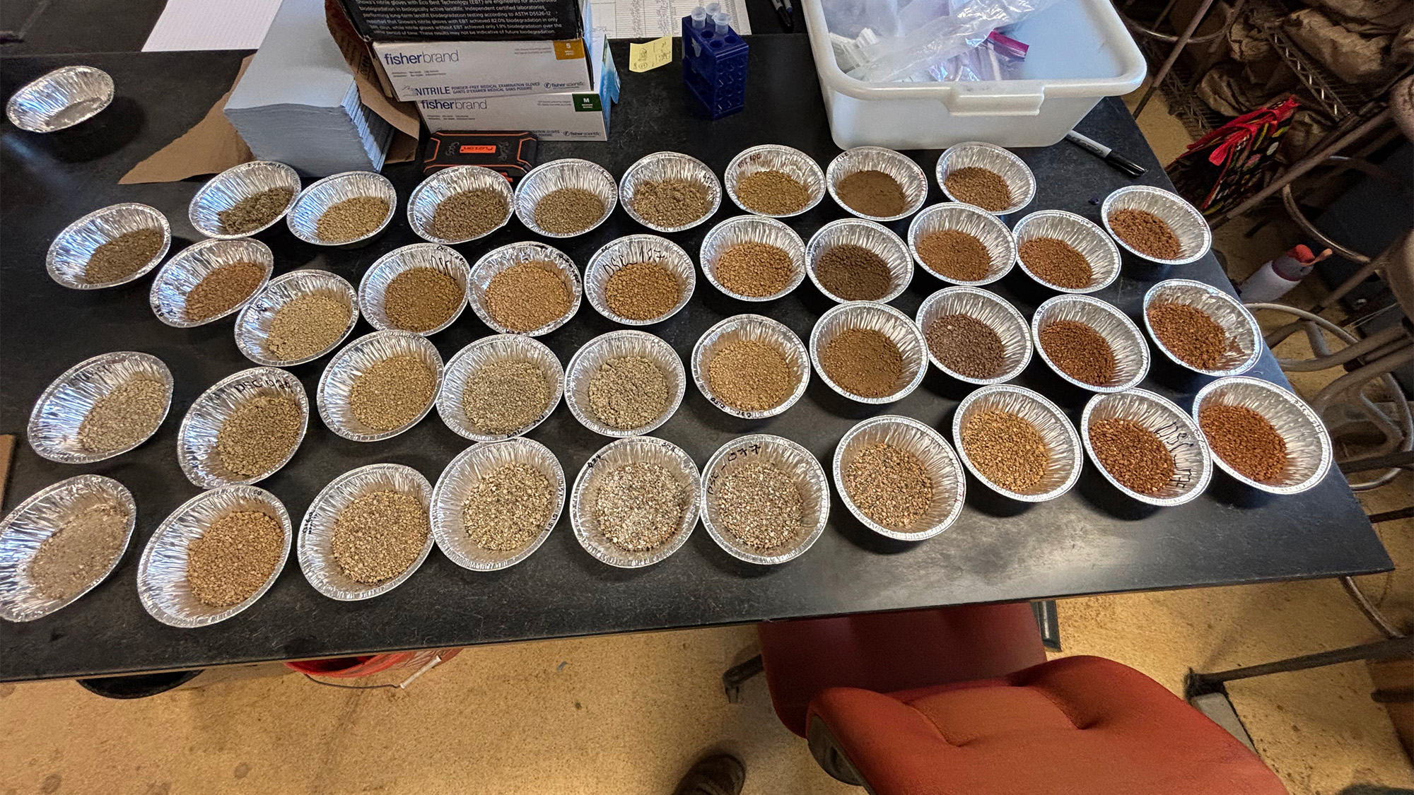 Multiple small bowls arranged on a table, each holding different grains and seeds.