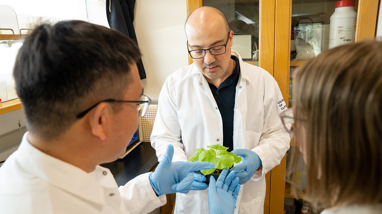 Three scientists in lab coats and gloves examining a green plant sample