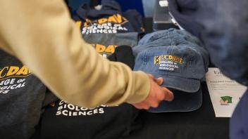 A person reaches towards a table of UC Davis College of Biological Sciences apparel, including gray and black sweatshirts and blue hats, each item displaying the college's logo and name.