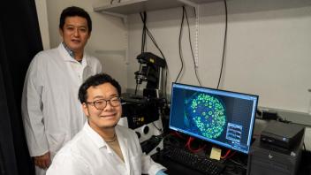 Yasuhisa Munakata (right) a postdoctoral fellow working with Satoshi Namekawa, a professor of microbiology and molecular genetics, has received a prestigious grant from the Global Consortium for Reproductive Longevity and Equity. With it, he will investigate the cellular origins of reproductive aging and fertility decline. (Photo by Sasha Bakhter / UC Davis))