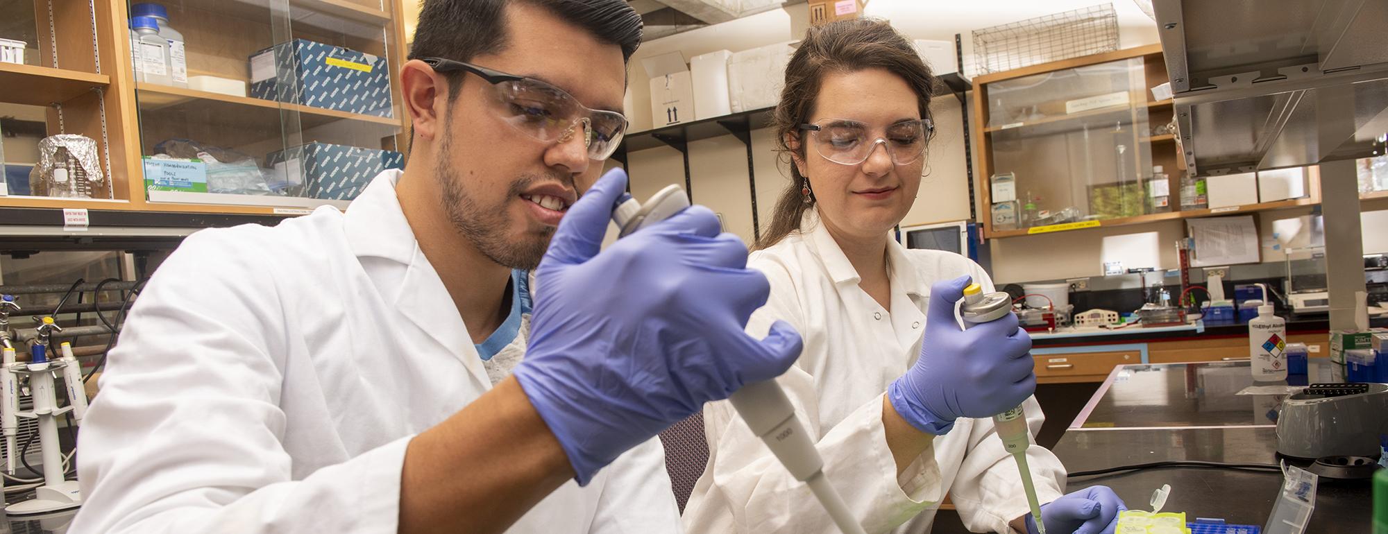 Male and female student in laboratory setting holding pipette 