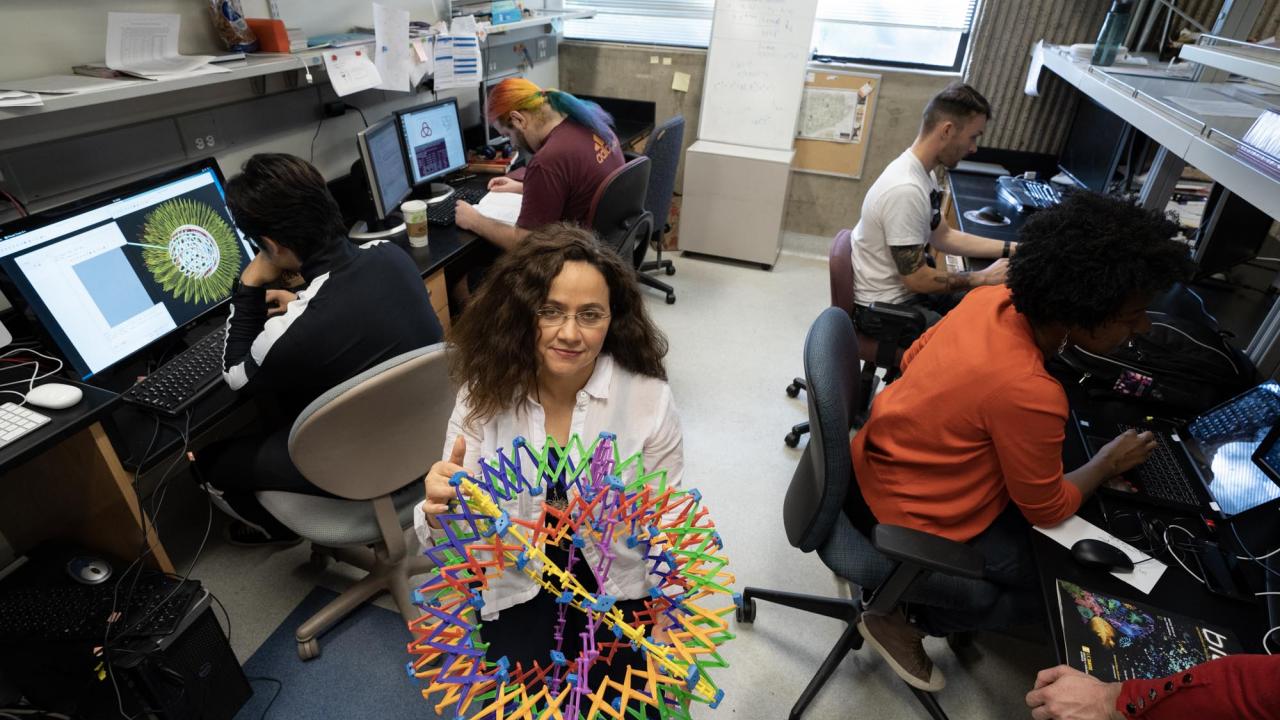 Professor Mariel Vazquez applies her training in this area of mathematics to fundamental questions about DNA structure and functionality. David Slipher/UC Davis Mariel Vazquez