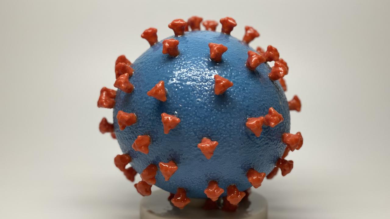 Coronavirus
