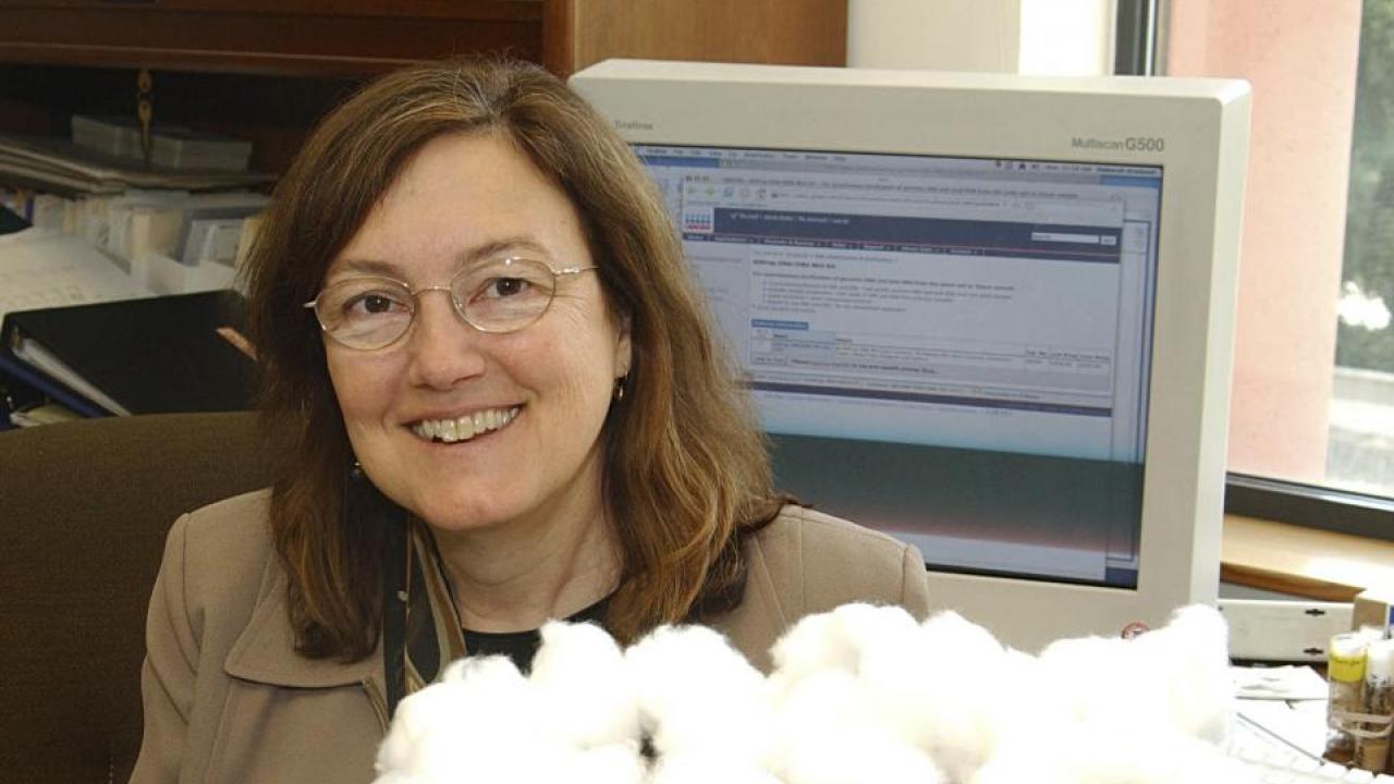 Professor Deborah Kimbrell holds a tray of fruit fly specimens. She launched fruit flies into space in 2006 as part of an experiment to test their immunity in space. (Kathy Keatley Garvey/UC Davis) Deborah Kimbrell