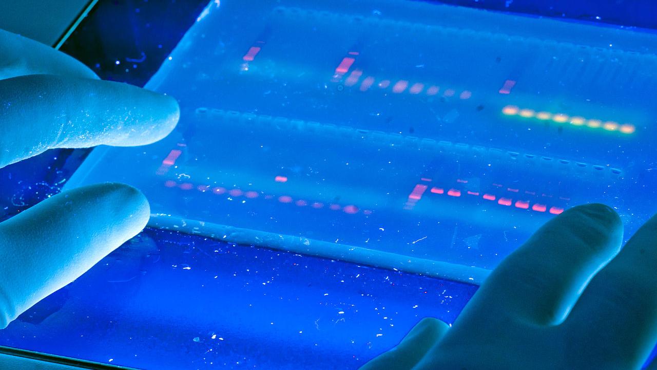 Genome sequencing