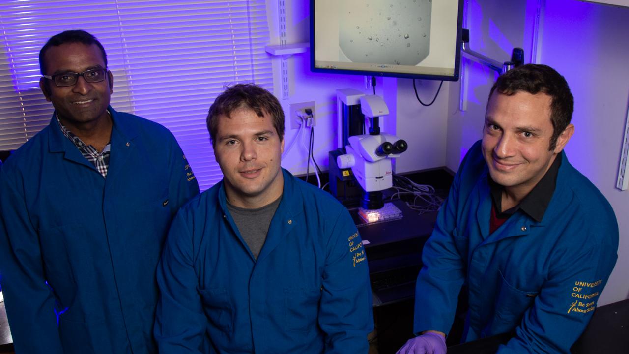 Assistant Project Scientist Stanley Nithianantham and graduate student Brian Cook stand with Associate Professor Jawdat Al-Bassam in the lab. David Slipher/UC Davis From left to right is Stanley Nithianantham, Assistant Project Scientist; Brian Cook, graduate student; and Jawdat Al-Bassam.