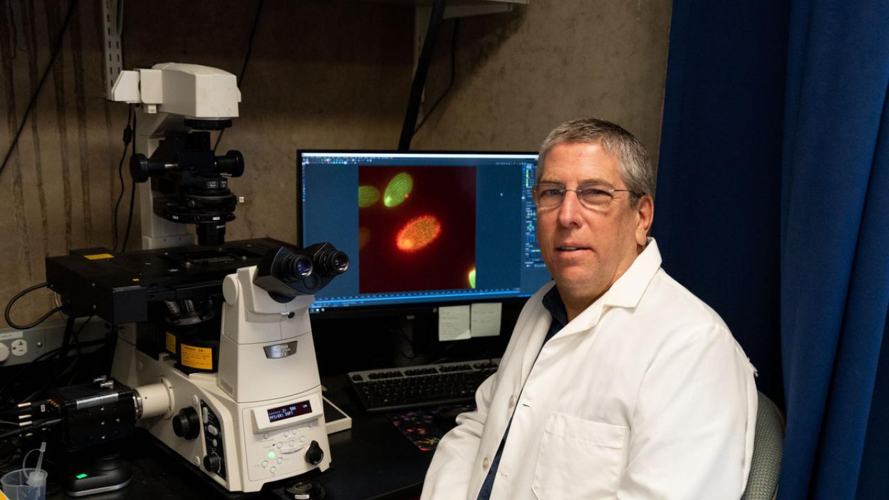 For his contributions to cell biology knowledge and the scientific community, Mark Winey was named a fellow of the American Society for Cell Biology. David Slipher/UC Davis Mark Winey