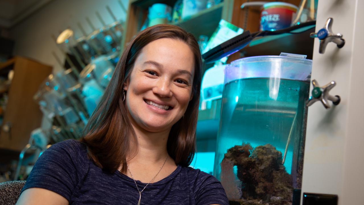 As an Alfred P. Sloan Fellow, Assistant Professor Rachael Bay will research thermal tolerance in corals, which is becoming increasingly important as ocean temperatures shift. David Slipher/UC Davis Rachael Bay sits in her lab