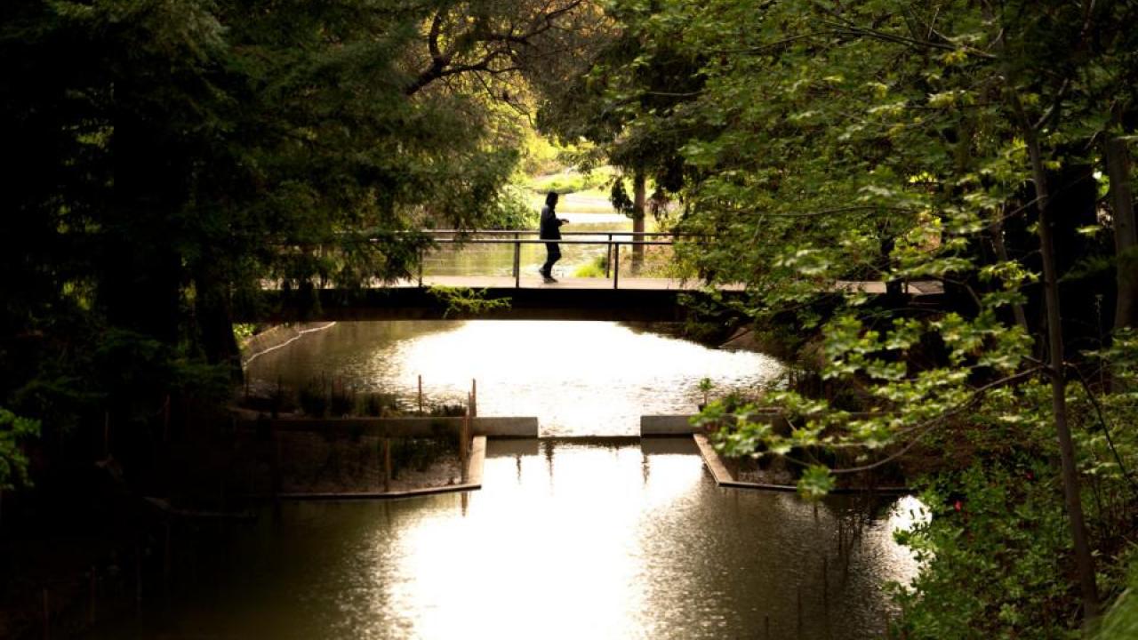 Arboretum