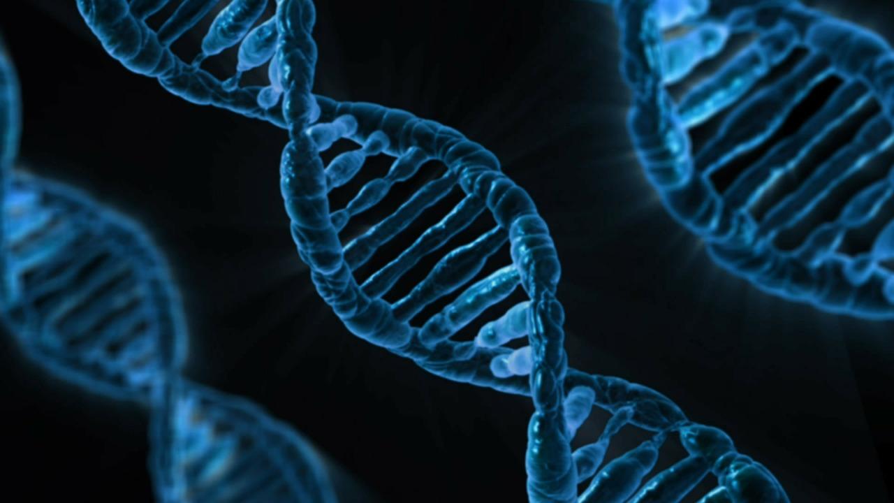 The award is the second major CRISPR grant at UC Davis as part of the NIH Somatic Cell Genome Editing Consortium (SCGE). DNA