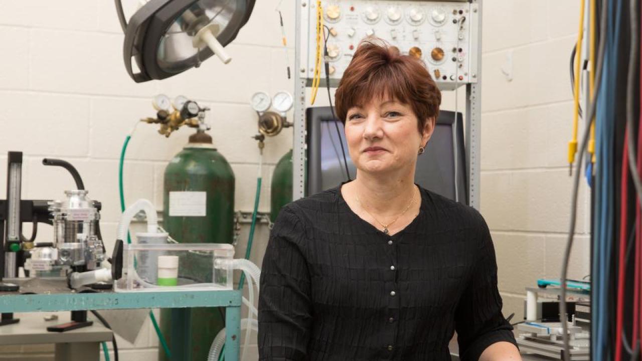 UC Davis’ Sue Bodine is one of two UC Davis professors taking part in a $170 million, six-year effort by the National Institutes of Health to understand the links between exercise and health. (David Slipher/UC Davis)