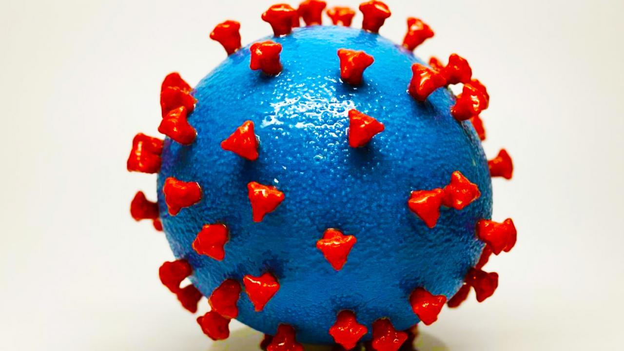 The UC Davis College of Biological Science has established a series of virtual town hall sessions for students but the event is also open to faculty, staff and the public who want to learn more about COVID-19. Coronavirus