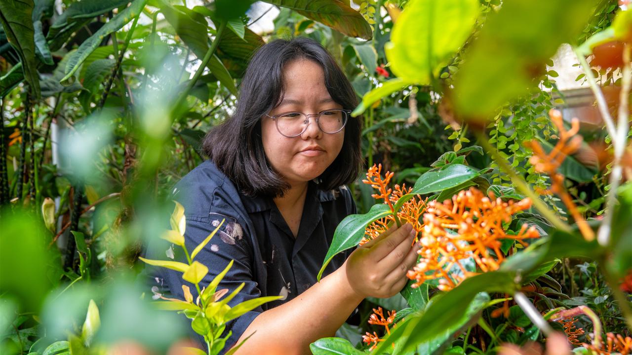 Woman with glasses touching orange cluster flowers amid dense green foliage (photo)