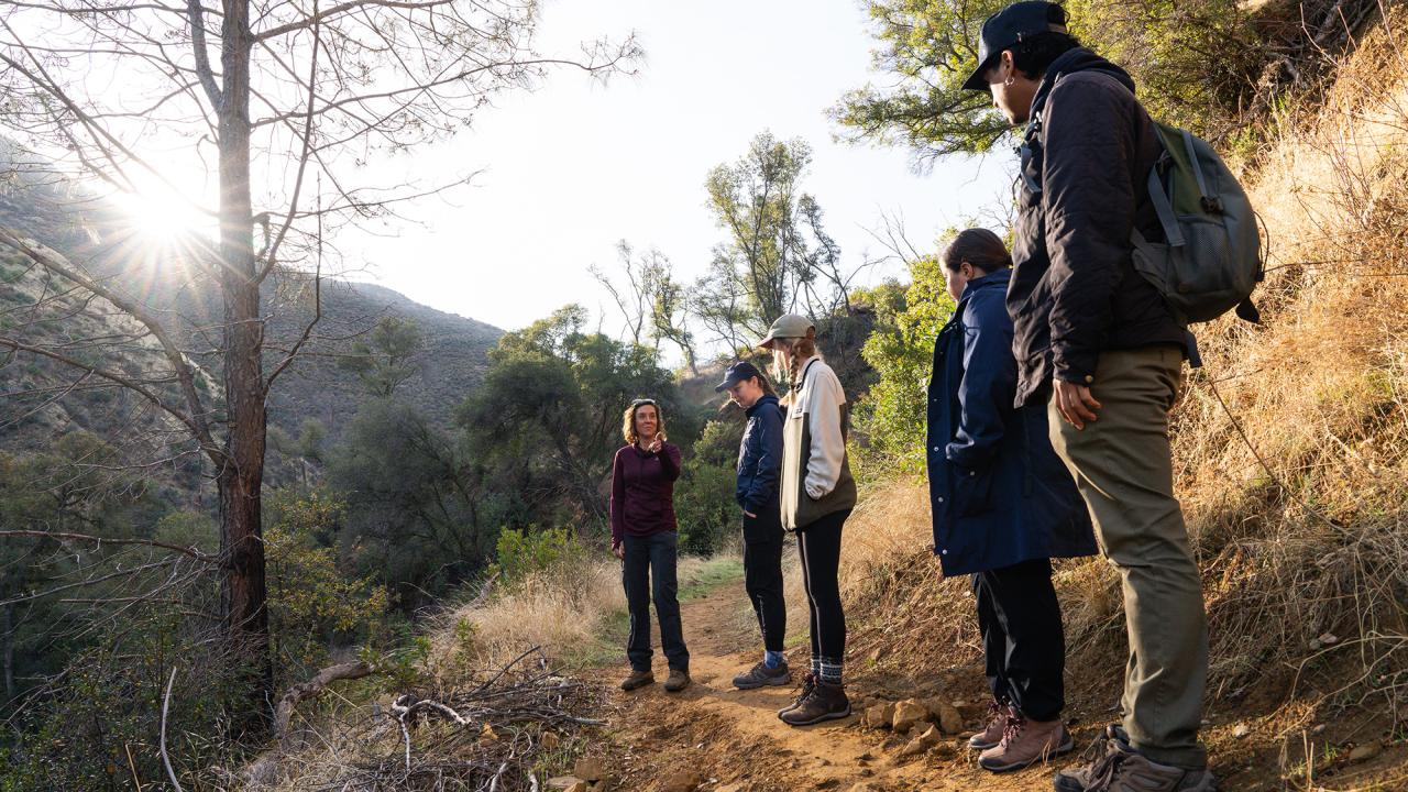 A group of five people stands on a dirt trail in a sunlit forested canyon, listening to one person speak while the others observe and engage. Sunlight filters through trees, and the terrain is dry and hilly with patches of green vegetation.