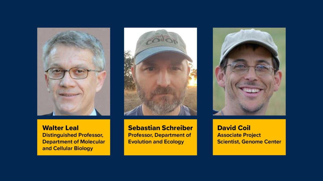 Academic and Federation Award Recipients