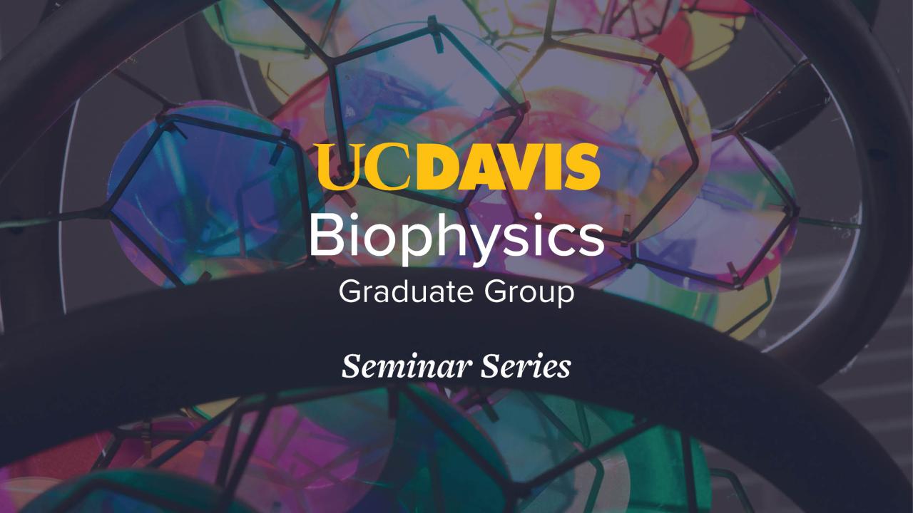 BPH Seminar Series Banner with Colorful Background