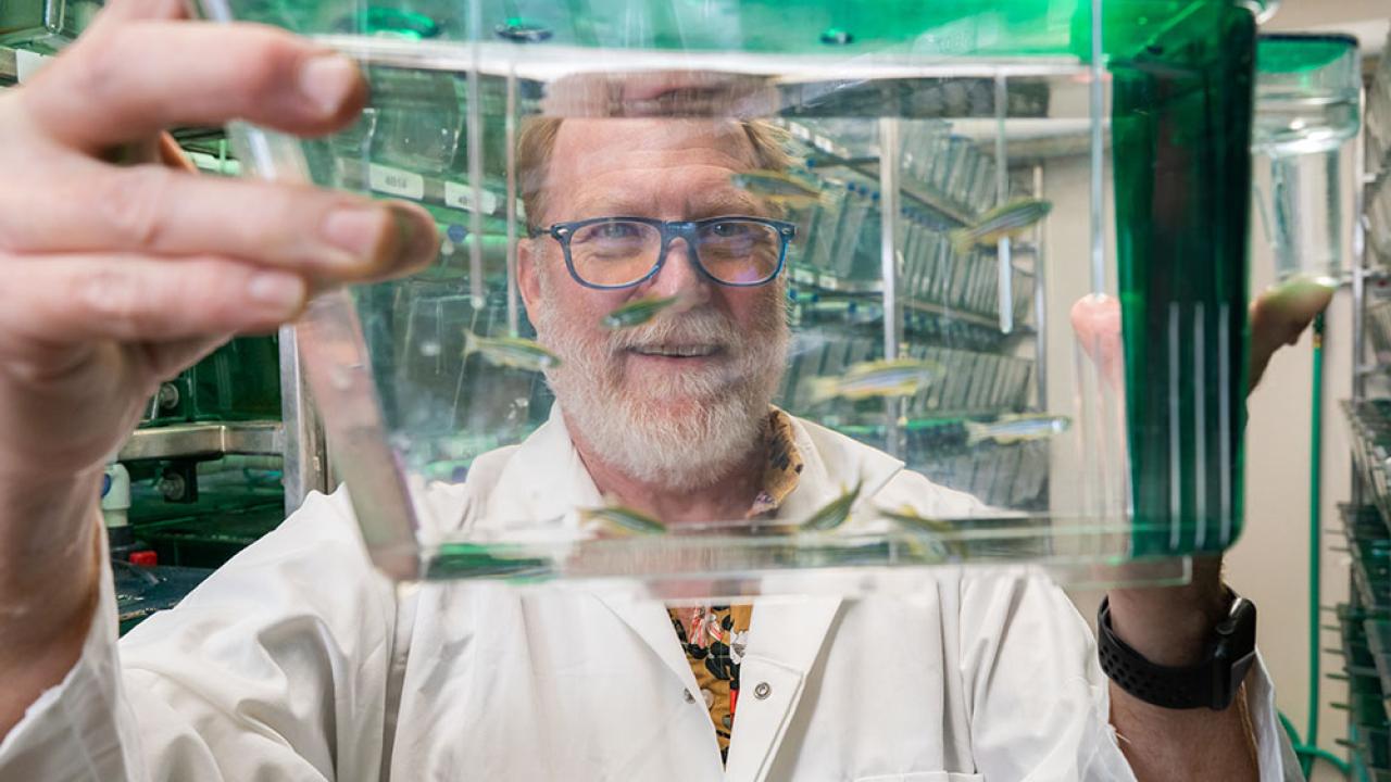 A scientist in a white lab coat holds up a clear tank of small zebrafish, smiling as he examines them in a laboratory filled with similar tanks.