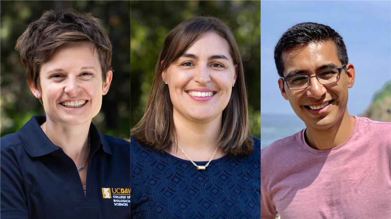 Three individuals smiling in separate portraits. The first wears a navy UC Davis polo with greenery behind them, the second a blue top with a gold necklace outdoors, and the third a pink shirt with a coastal background.