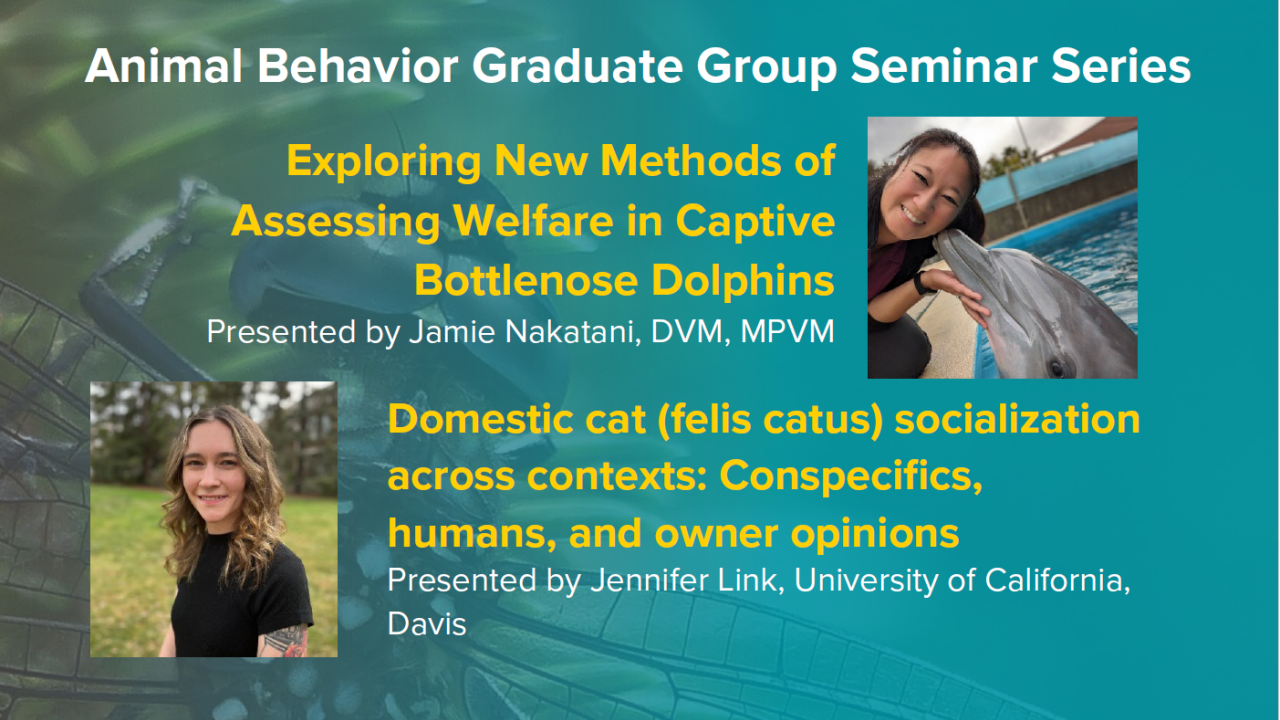 Blue graphic with seminar titles, speaker names and titles, and speaker photos