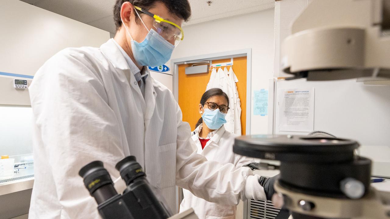 Two researchers in lab coats, masks, and safety goggles work together at a microscope in a laboratory, with lab coats hanging on the door behind them.