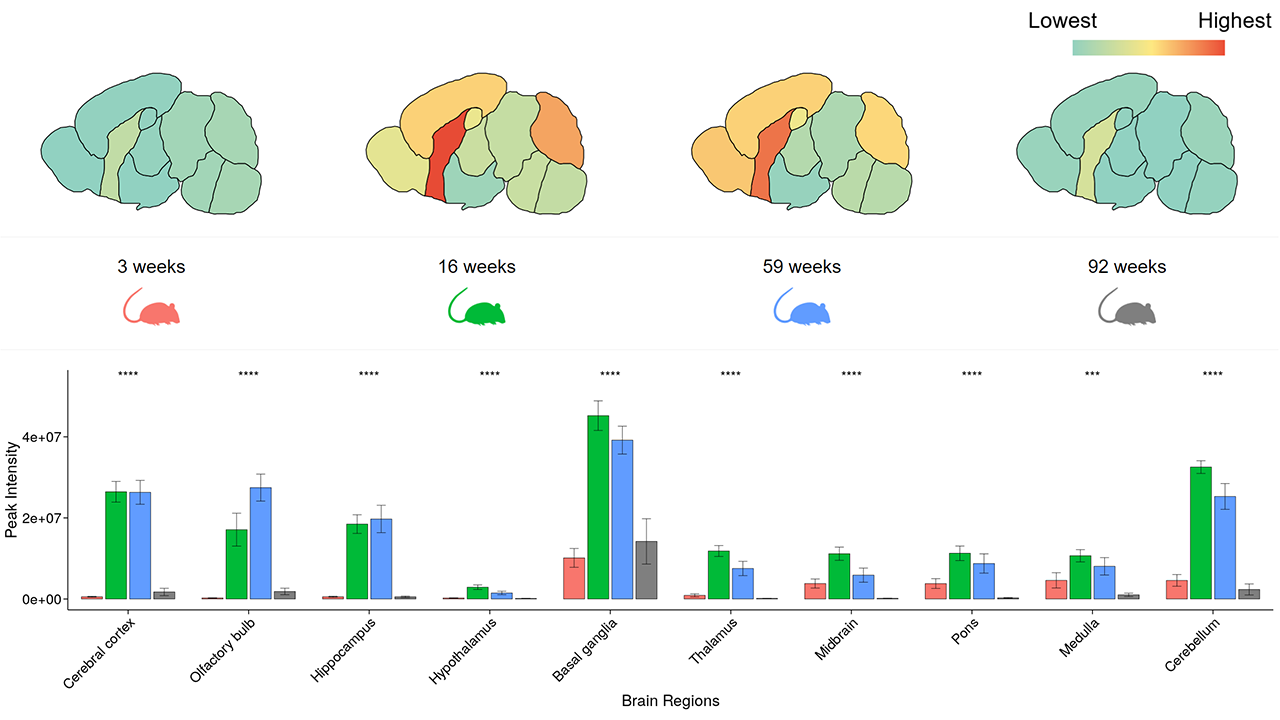 Example of data analysis