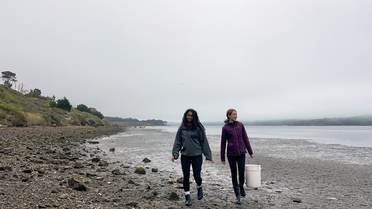 Two young women walking on a beach