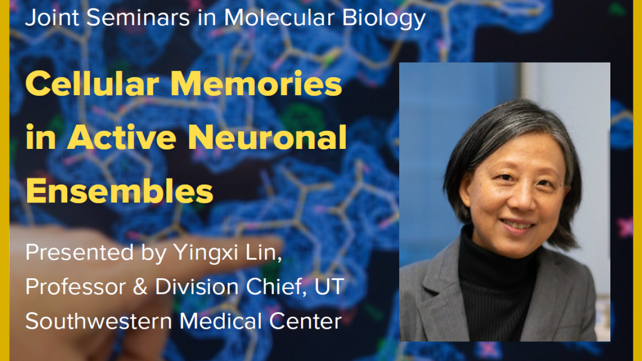 Blue graphic with seminar title, speaker name and title, and speaker photo