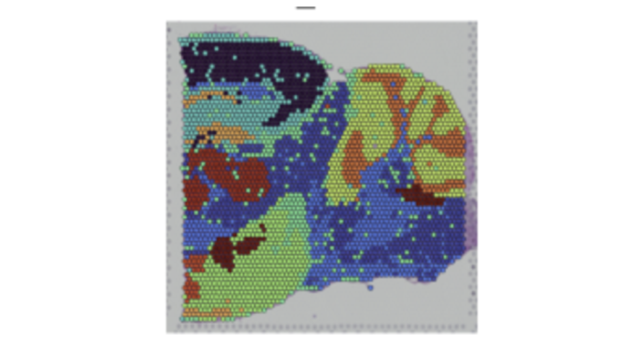 Colorful heatmap graphic with two lobe-like shapes in blue, green, red on gray
