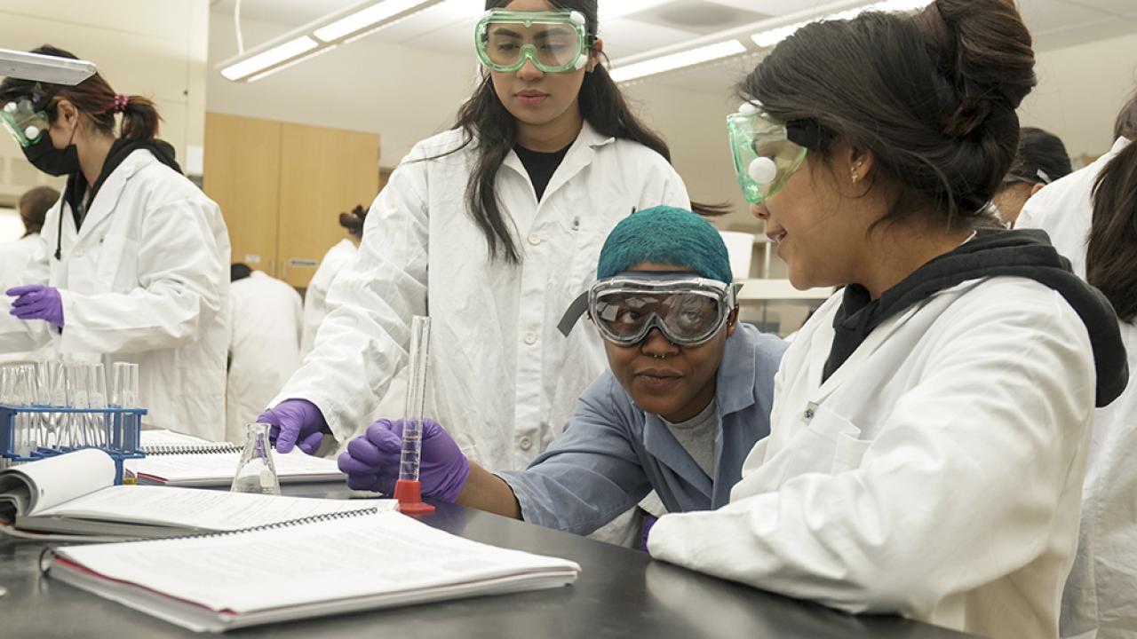 Students in lab