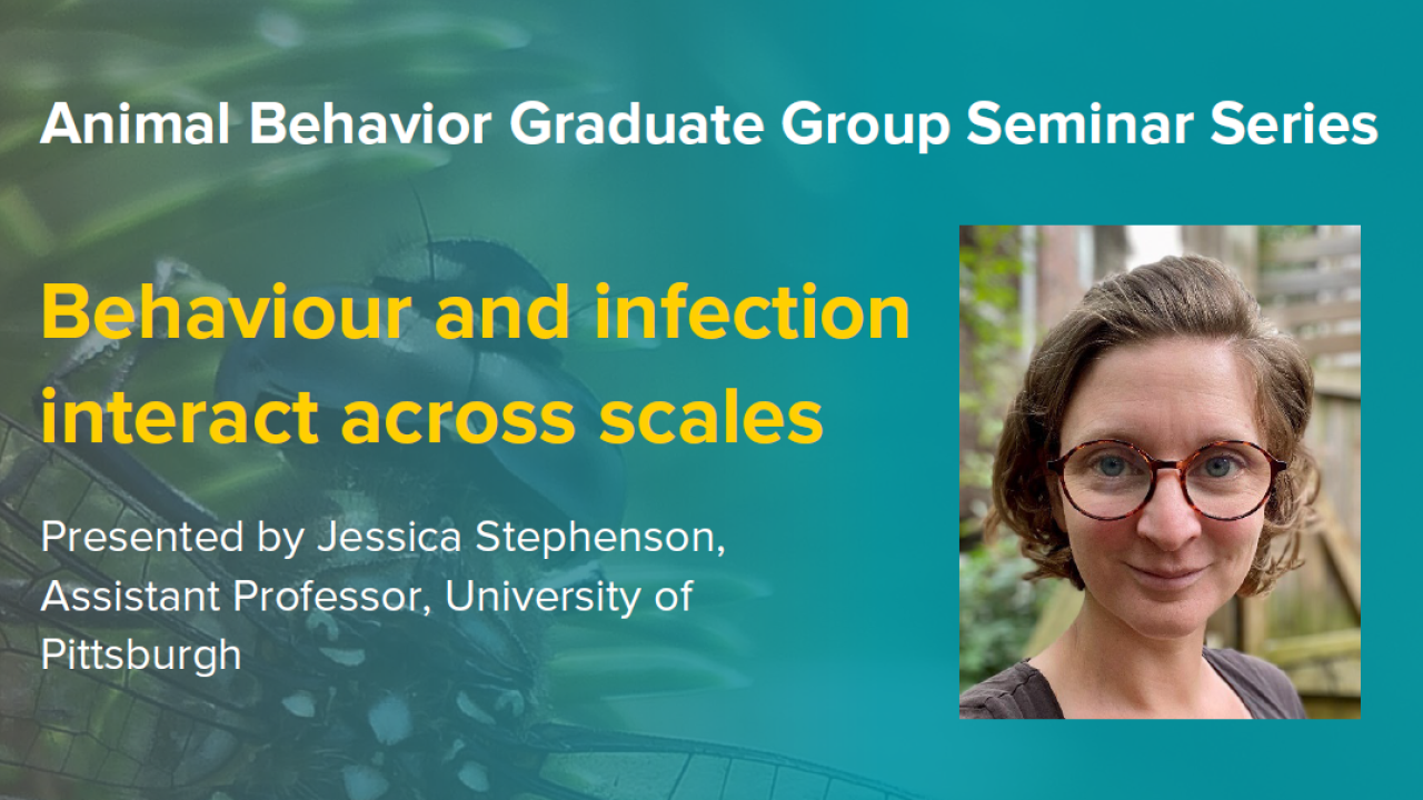 Blue graphic with seminar title, speaker name and title, and speaker photo