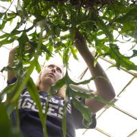 Female student with plant in greenhouse