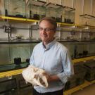 Professor Peter Wainwright, winner of the 2017 Faculty Research Lecture award, studies the biomechanics of fish feeding and how it relates to the evolution and ecology of fish. (Gregory Urquiaga, UC Davis)