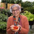For her long-term contributions to the plant biology field, Sinha was recently honored by the American Society of Plant Biologists (ASPB) with a Fellow of ASPB Award, which recognizes distinguished members who have contributed to the society for at least 10 years. 