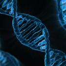 DNA