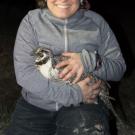 Gail and Greater Sage-grouse