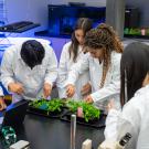 Students in white lab coats examining green plants during a biology lab experiment