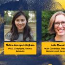 Three headshots of the CBS grad slam finalists against watercolor blue and gold background