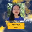 Gemma Le headshot against blue and gold background