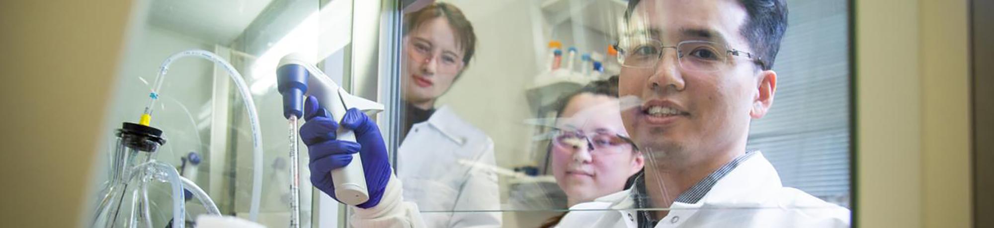 Researchers in a lab